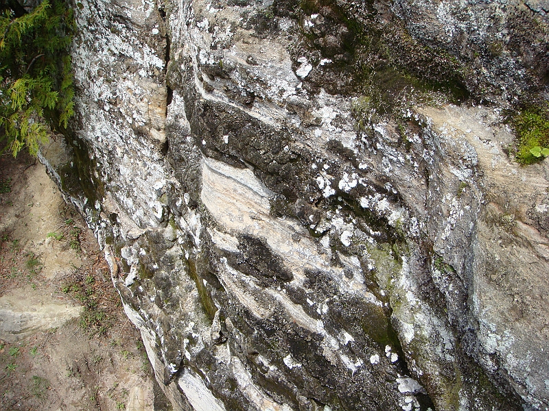305 Memorial Day [2008 May 23].JPG - Scenes from Tahquanemon Falls in the Michigan Upper Peninsula.